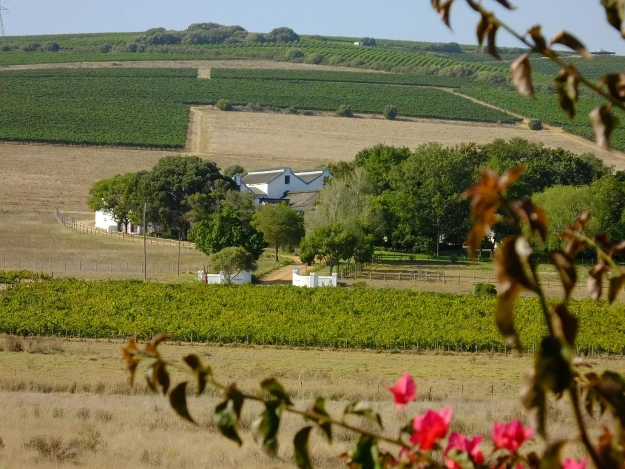 Lauradale Accommodation Stellenbosch Bagian luar foto