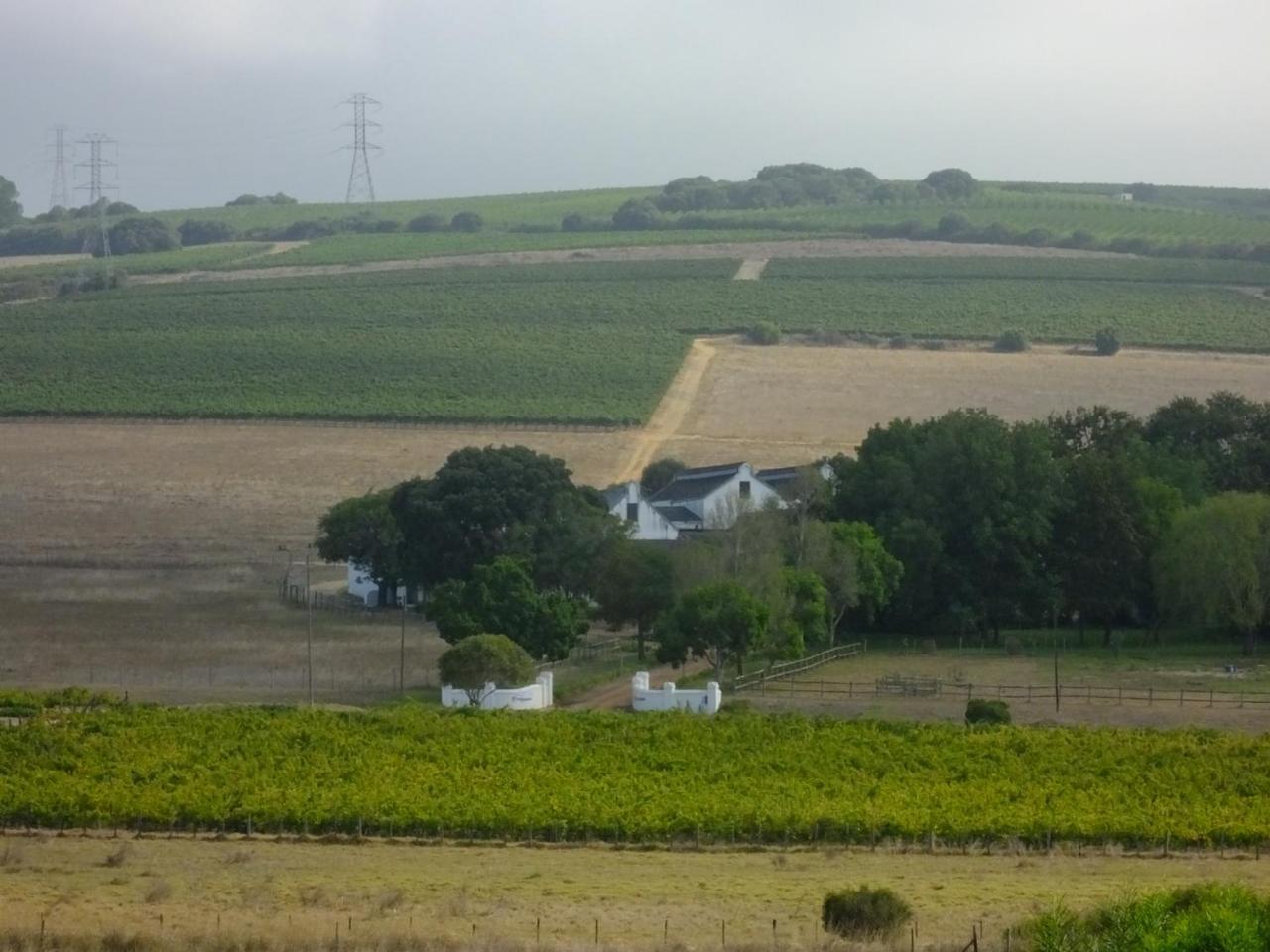 Lauradale Accommodation Stellenbosch Bagian luar foto